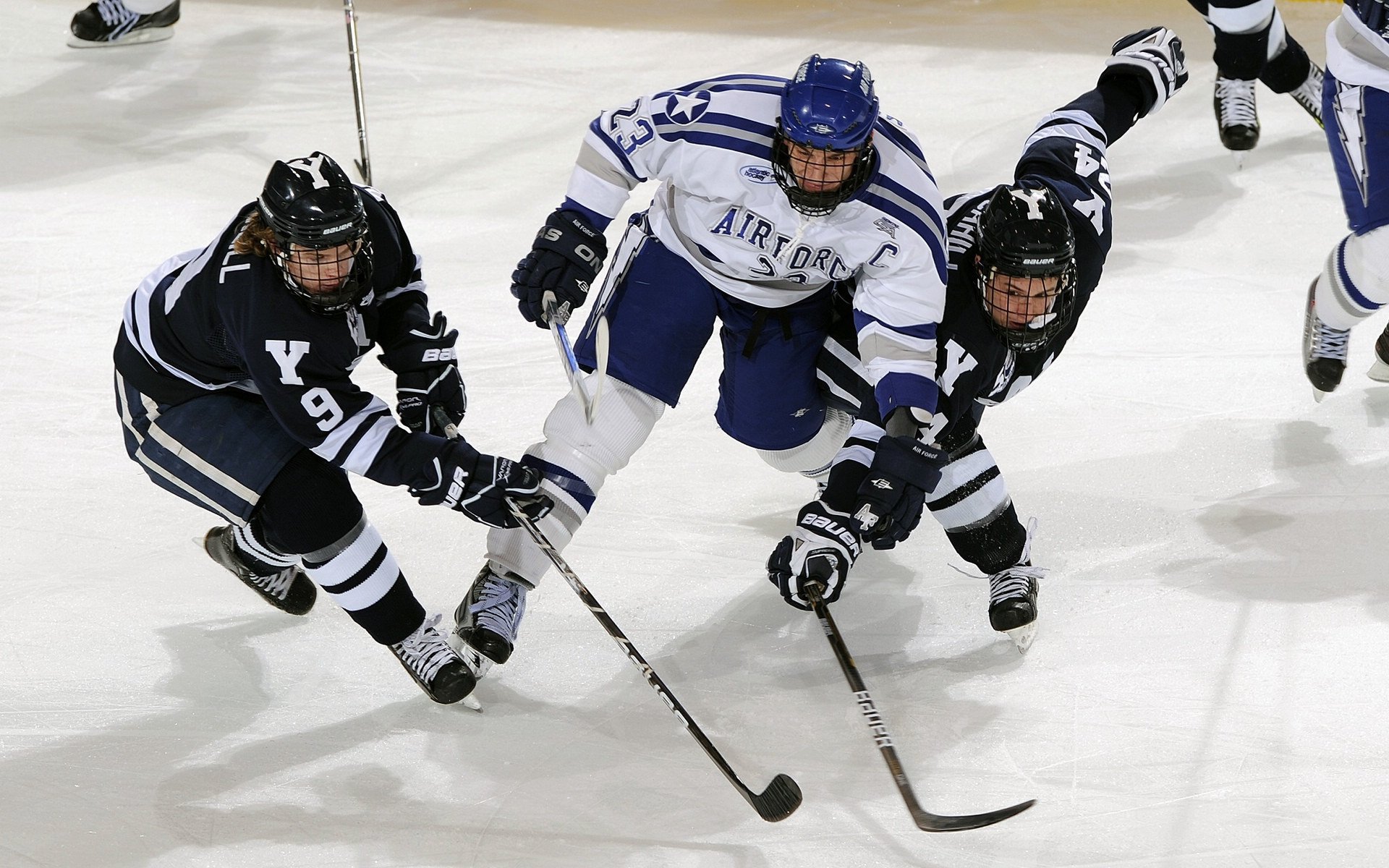 体育新闻中心赛季综述专题，2020年度体育新闻